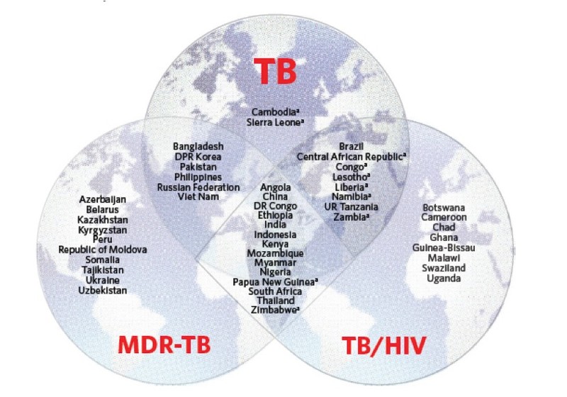 Global Tuberculosis • APOPO