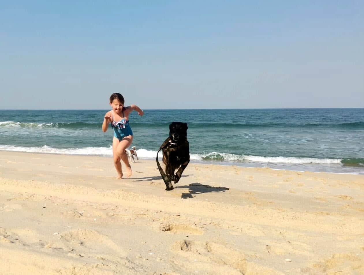 Aria and her new handler running on the beach