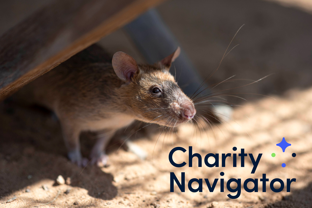 APOPO Earns Top Rating From Charity Navigator