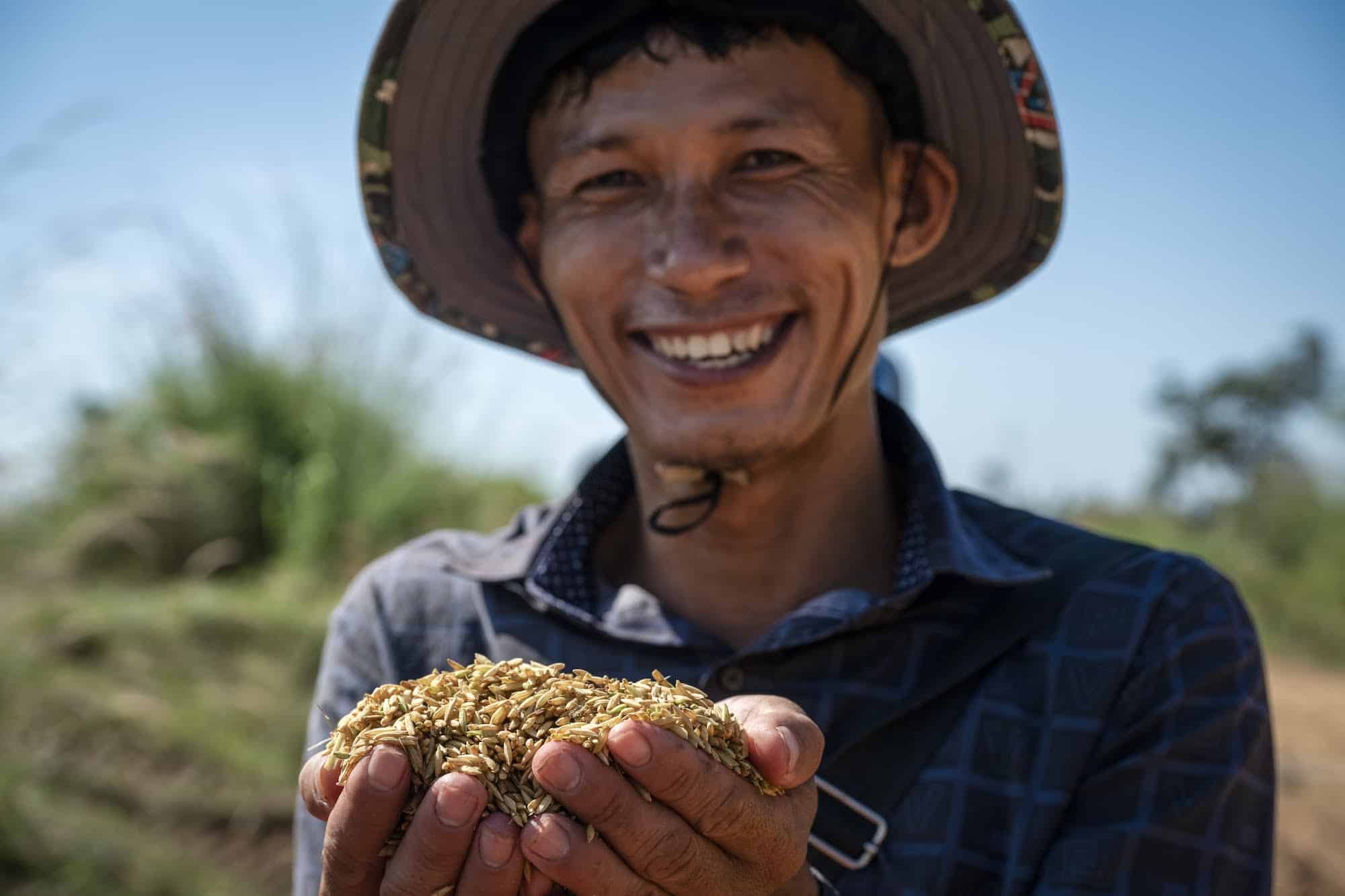 APOPO Mine Action "Minefields to Rice Fields" project helps farmers increase their yield.