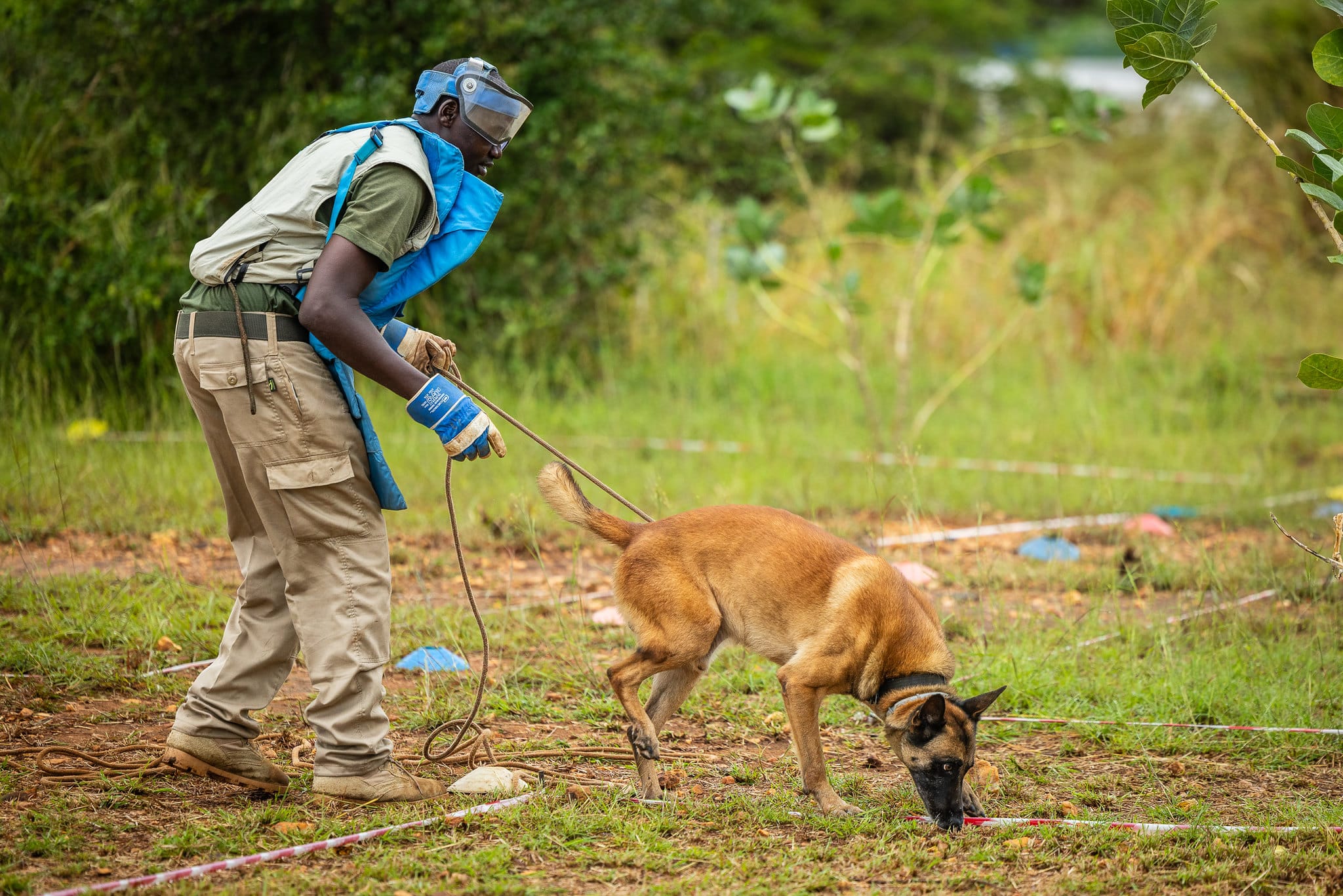 APOPO Dogs pass UNMAS Accreditation in South Sudan.