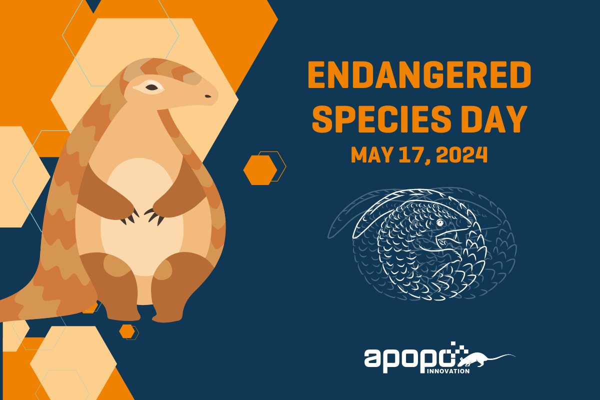 Reflecting on Endangered Species Day: APOPO's Innovative Detection Methods