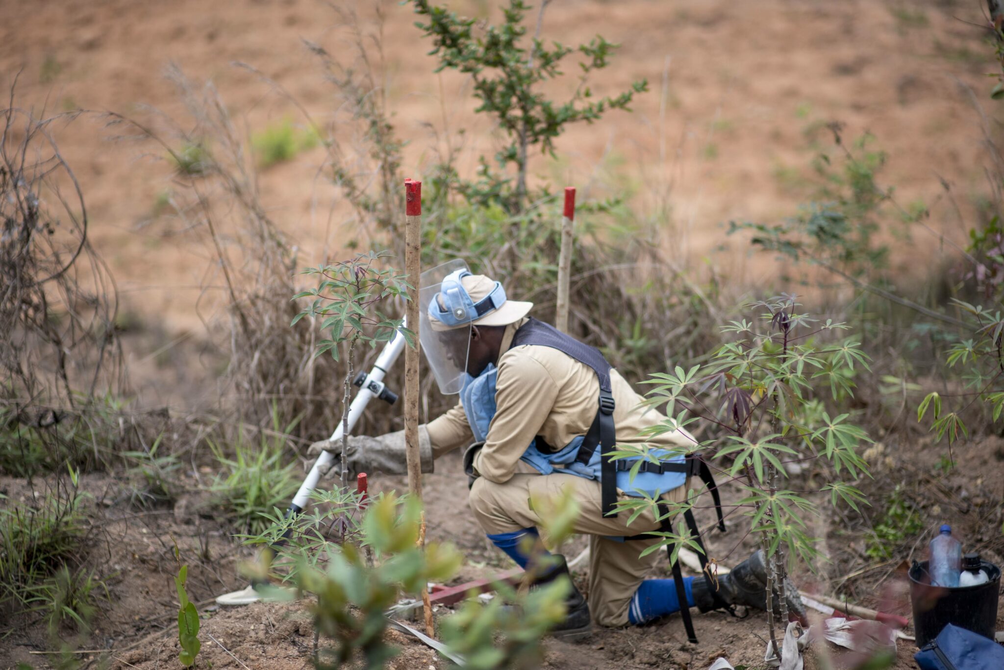 APOPO Manual deminer investigates an area marked as hazardous