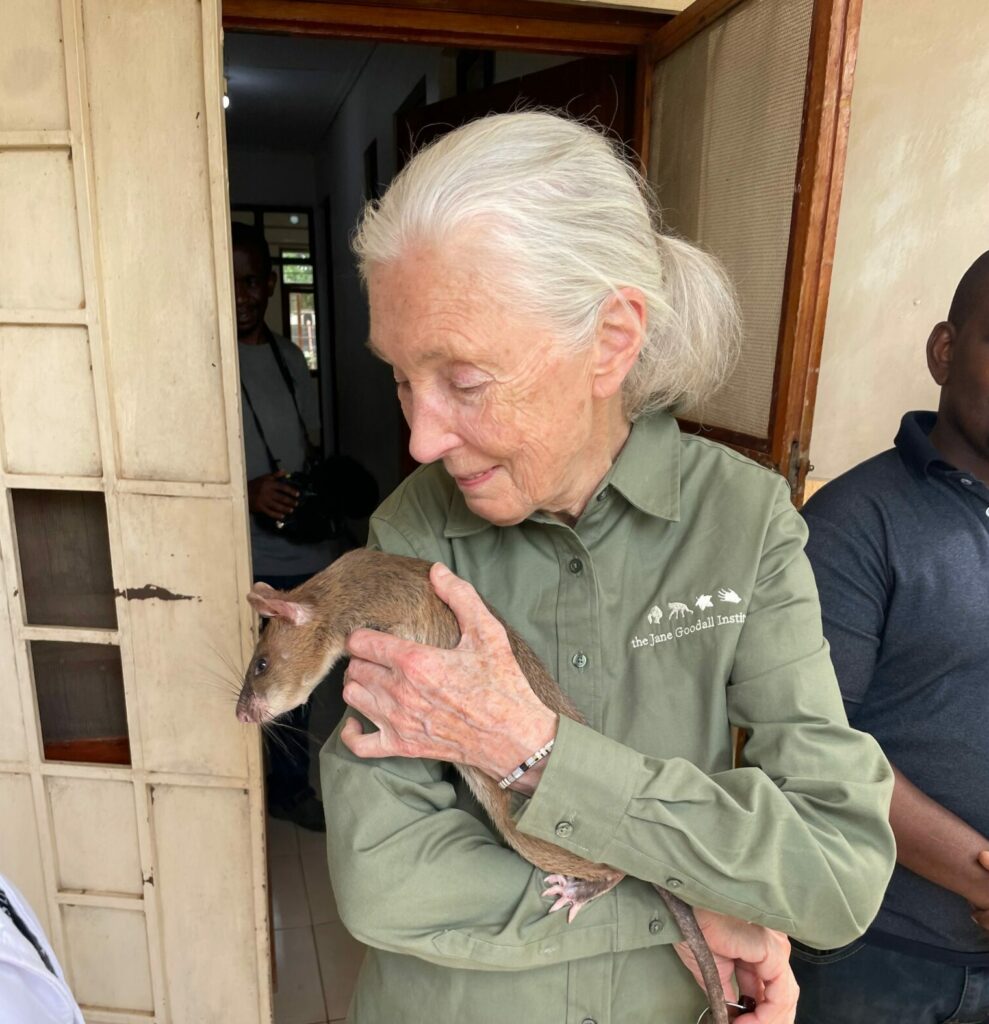 Jane Goodall + APOPO rat