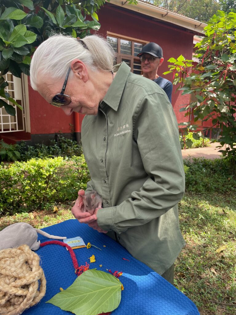 Jane Goodall holding APOPO rat pup