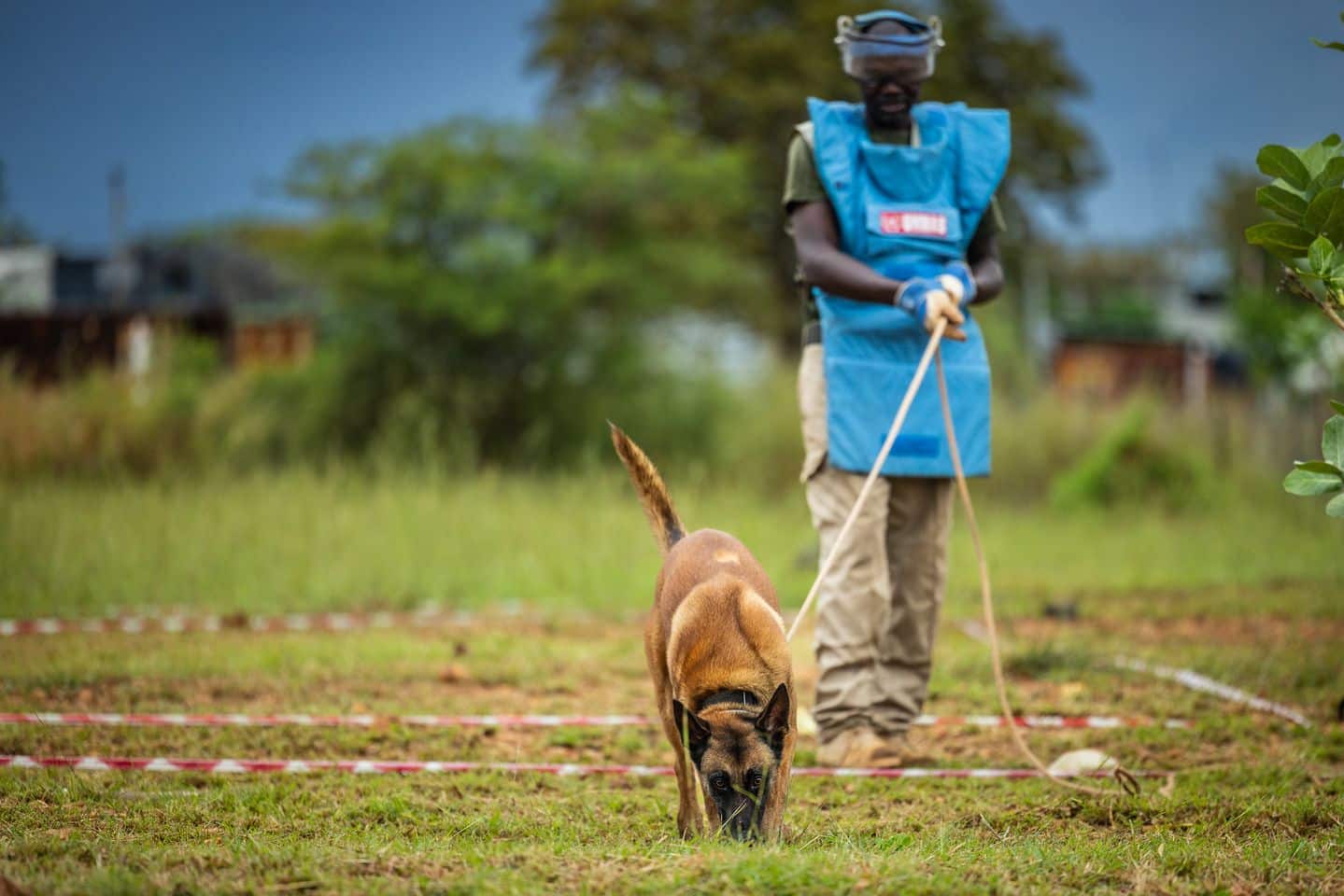 APOPO TSD during accreditation in Juba, South Sudan