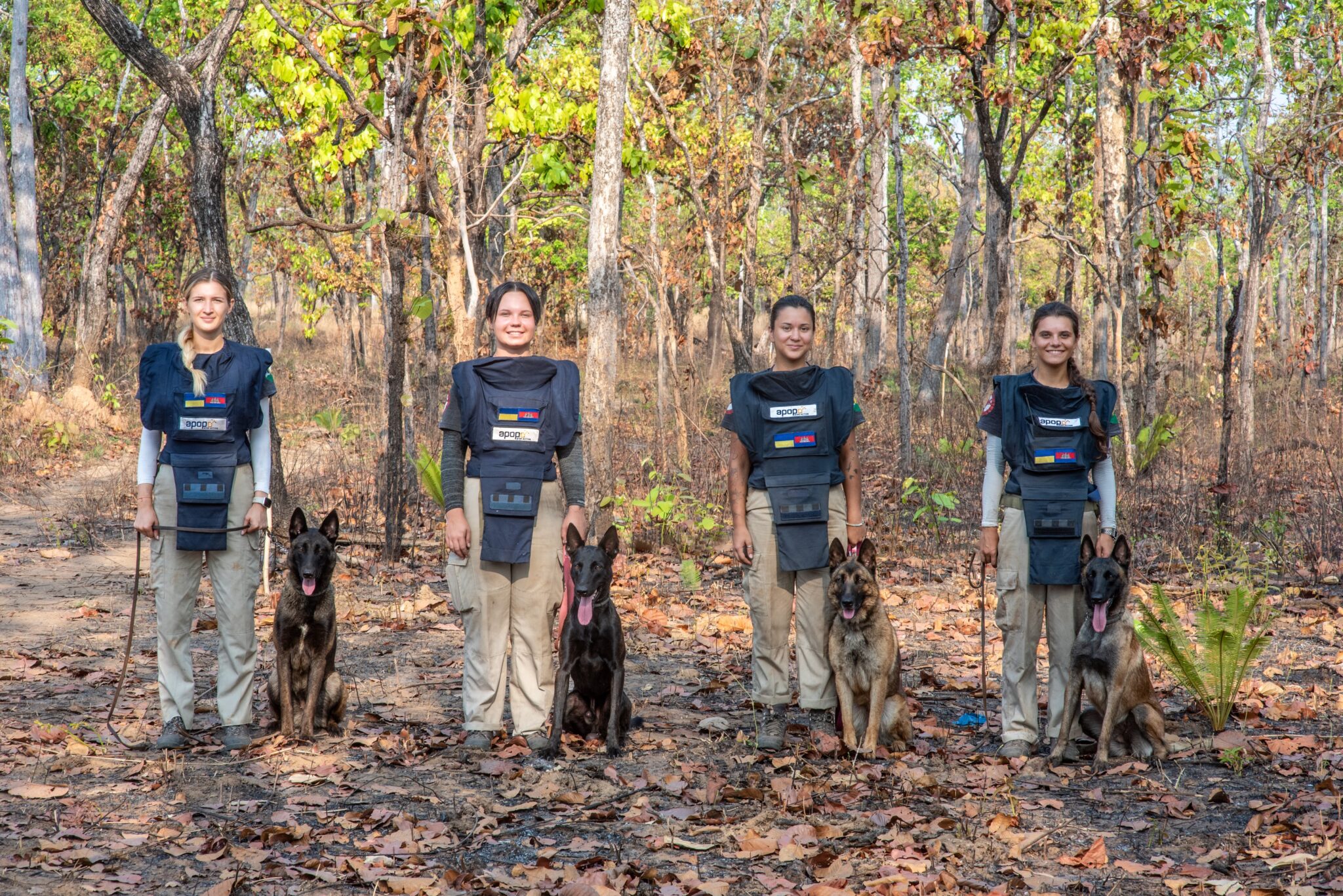 Local all-female teams equipped with technical survey dogs to clear Ukraine’s minefields