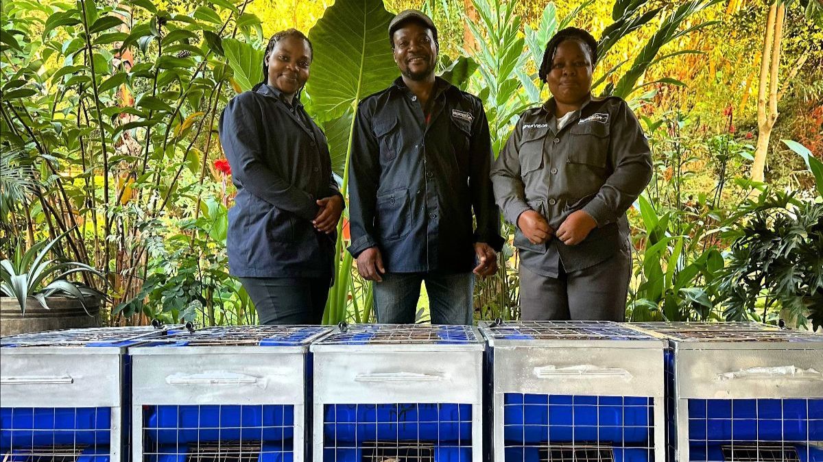 APOPO HeroRATs take leave of their trainins in Tanzania