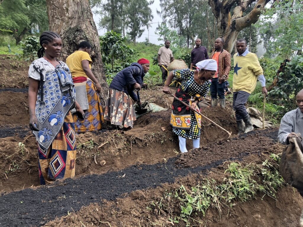 APOPO is collaborating with Mgeta Livelihood Development Foundation to introduce syntropic agroforestry 