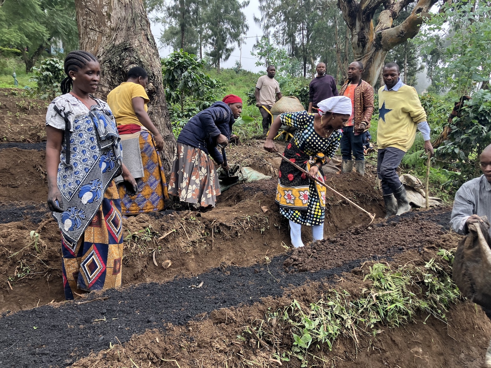 APOPO is collaborating with Mgeta Livelihood Development Foundation to introduce syntropic agroforestry 