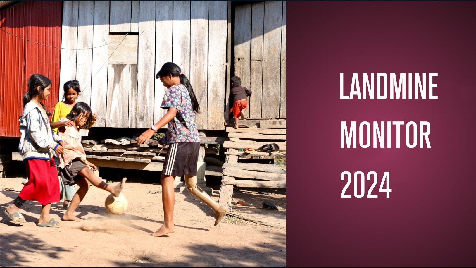 The Global State of Landmines: Insights from the 2024 Landmine Monitor