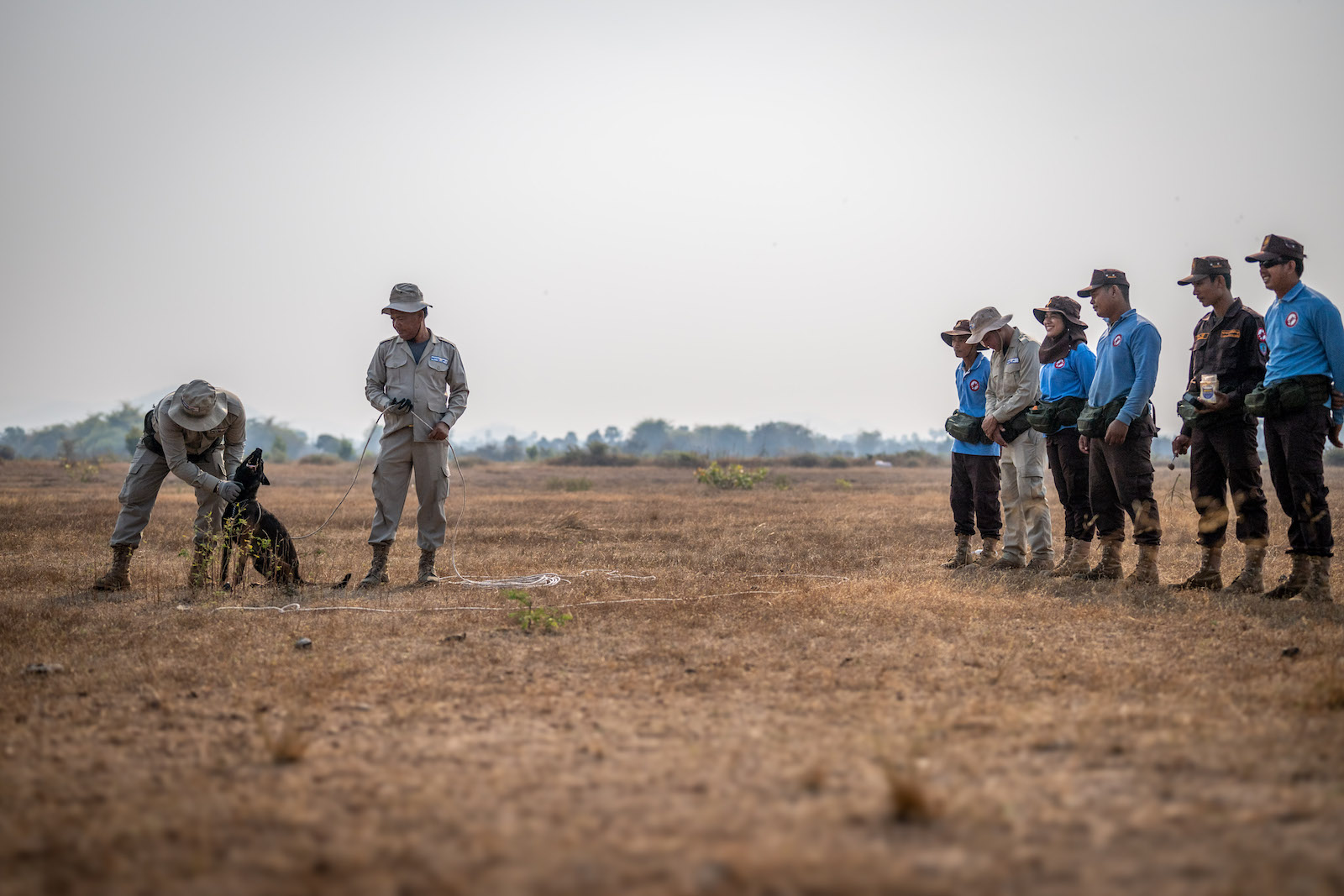 APOPO Mine Action Cambodia Dog and handler training