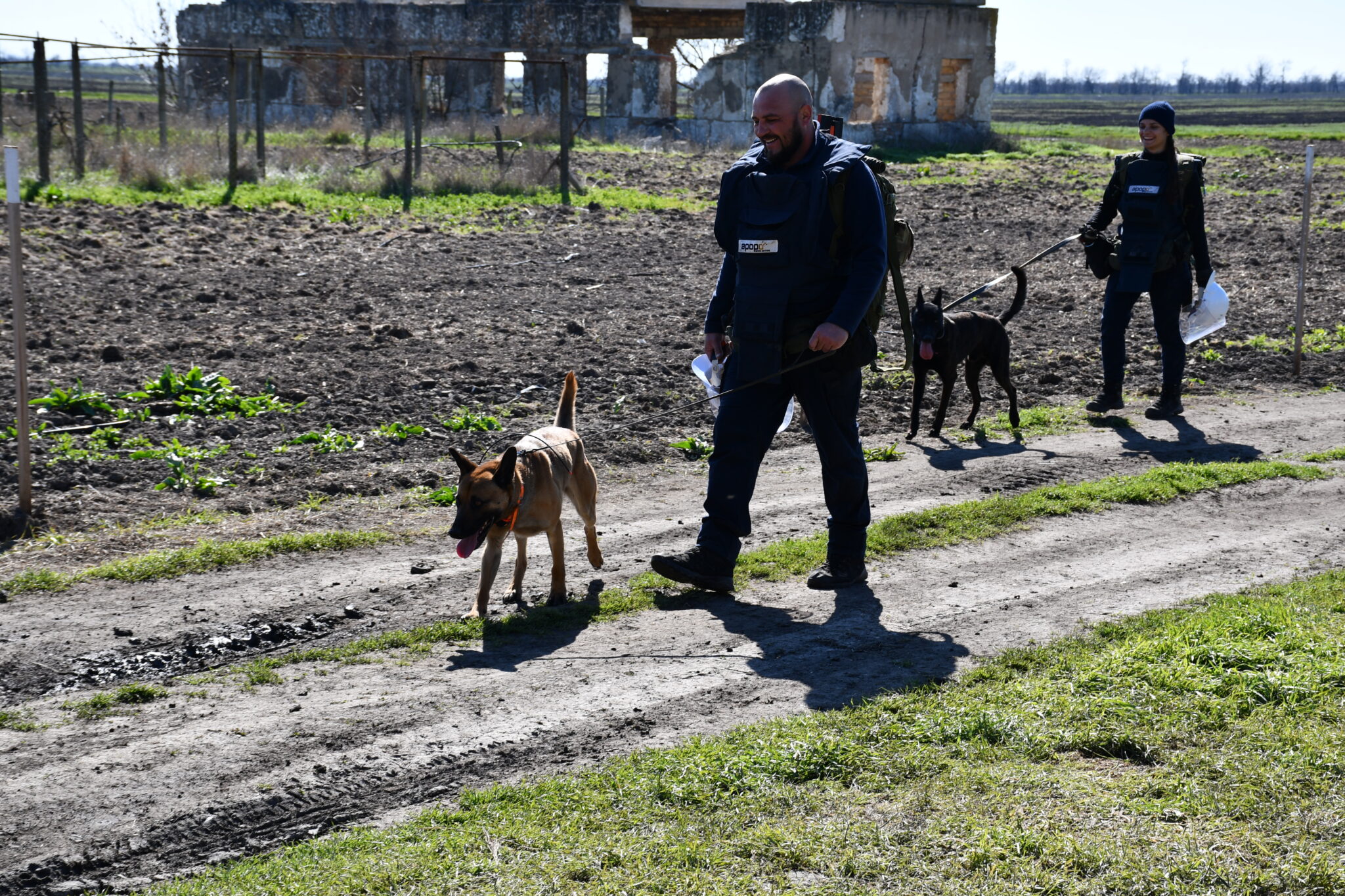 APOPO Technical Survey Dogs at work in Ukraine