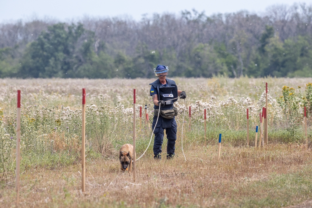 APOPO TSD team at work in Ukraine. © Howard G. Buffet Foundation