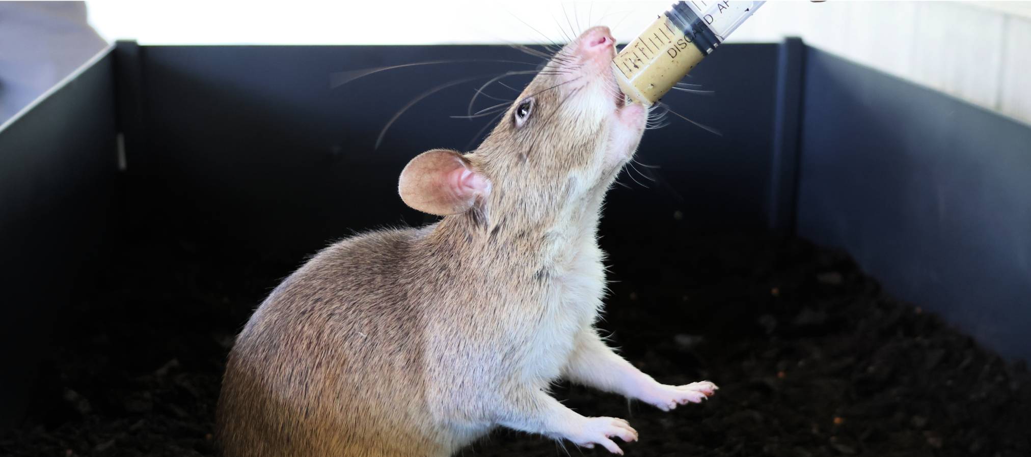 HeroRAT Exhibit - Slider_07