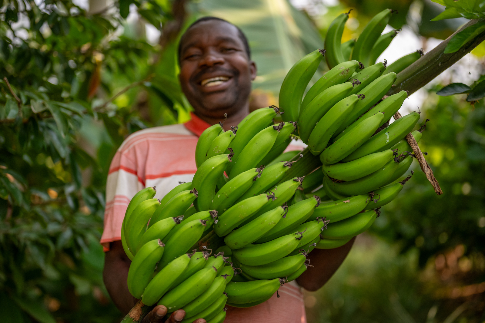 APOPO HeroTREEs Farmer Emanuel holds bananas
