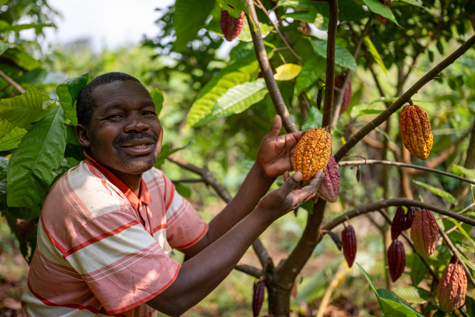 APOPO HeroTREEs Farmer Emanuel next to Cacao plant