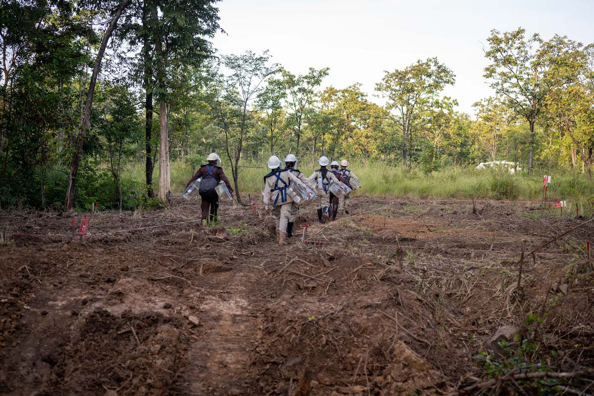 FCDO funding helps APOPO teams return land to communities in minefields to rice fields project.