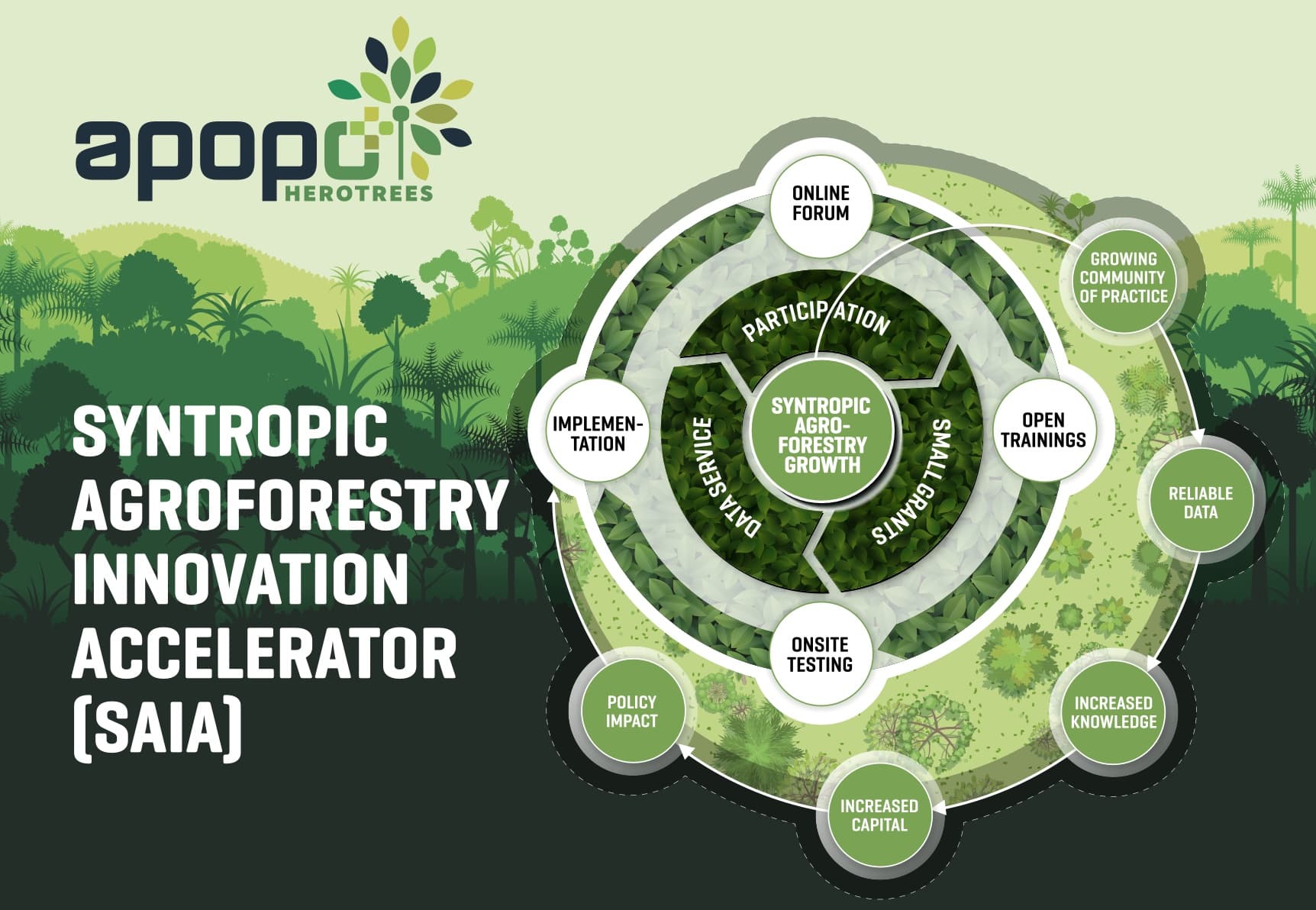 APOPO Syntropic Agroforestry Innovation Accelerator (SAIA)