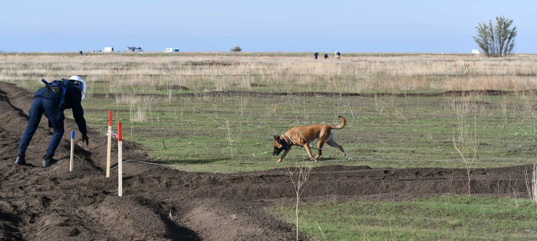 APOPO Technical Survey Dogs at work in Ukraine