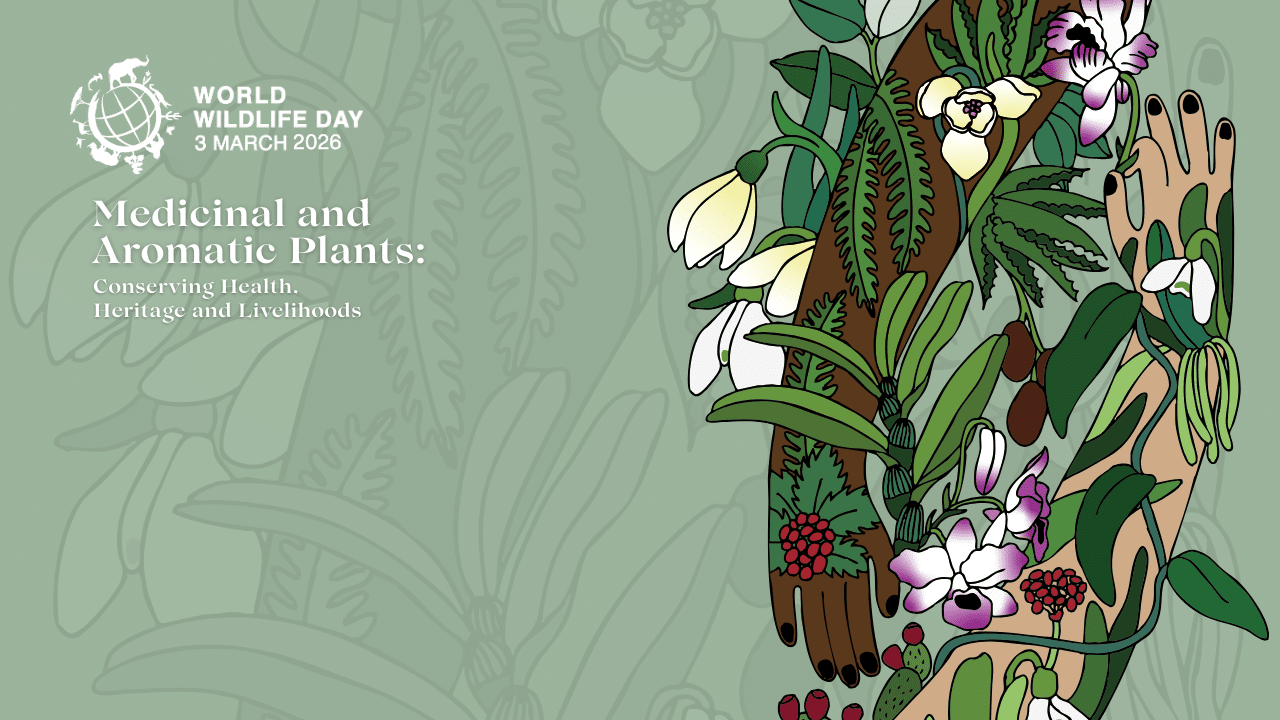 World Wildlife Day 2026