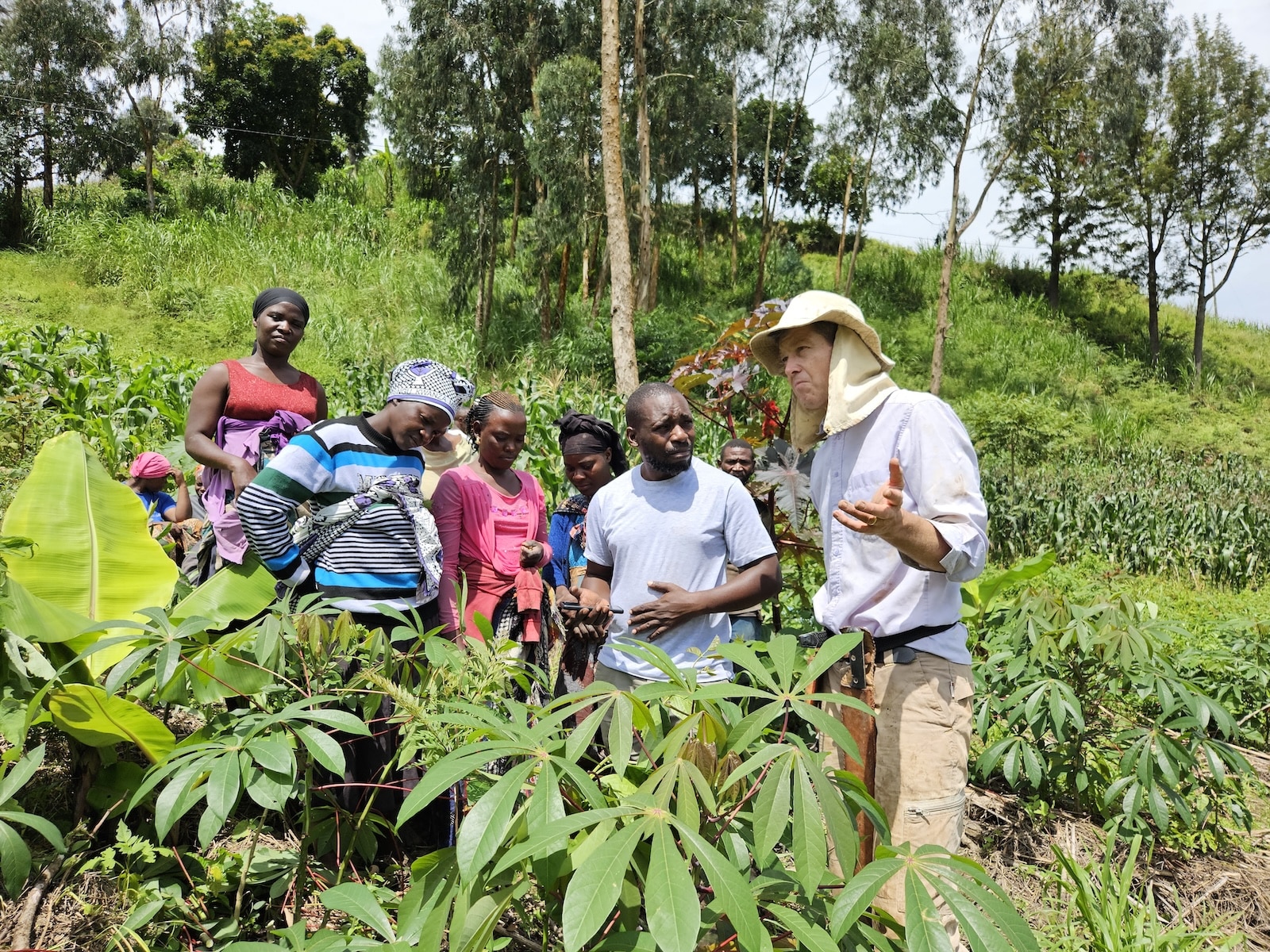 Explore Regenerative Farming and HeroTREEs in Tanzania’s Uluguru Mountains