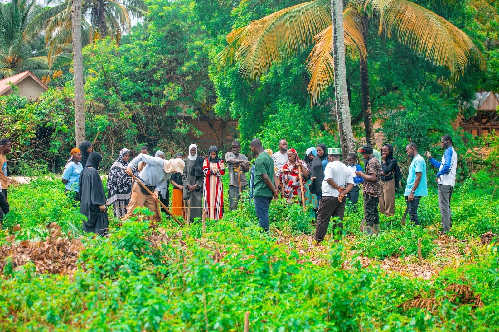 APOPO and Zanzibar Partners Launch Living Agroforestry Demonstration Site