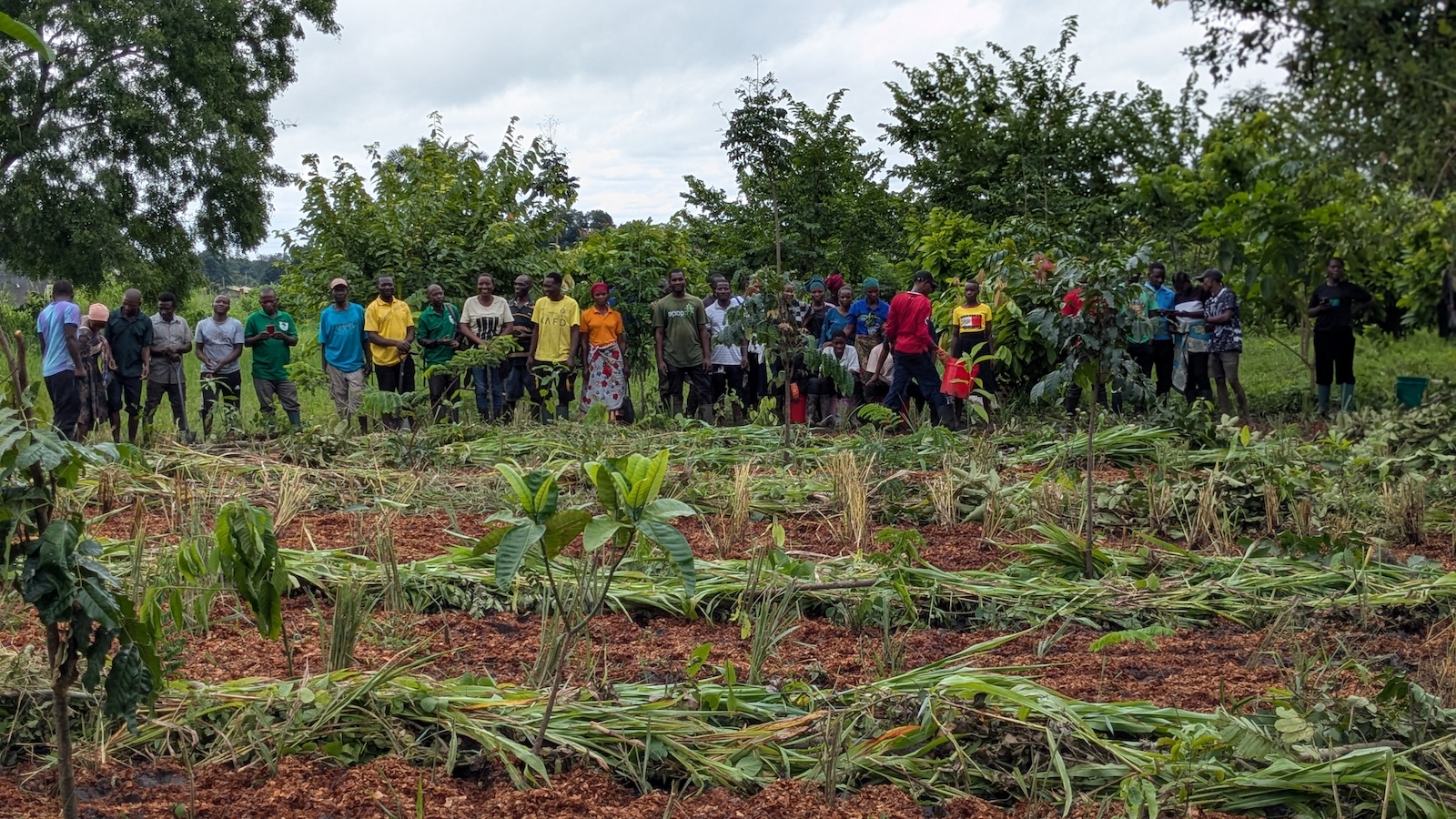 Farmers learn regenerative agroforestry techniques to restore degraded land and increase yields. APOPO HeroTREEs