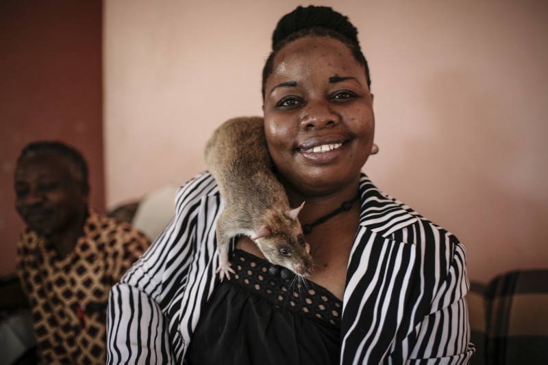 Pendo and HeroRAT