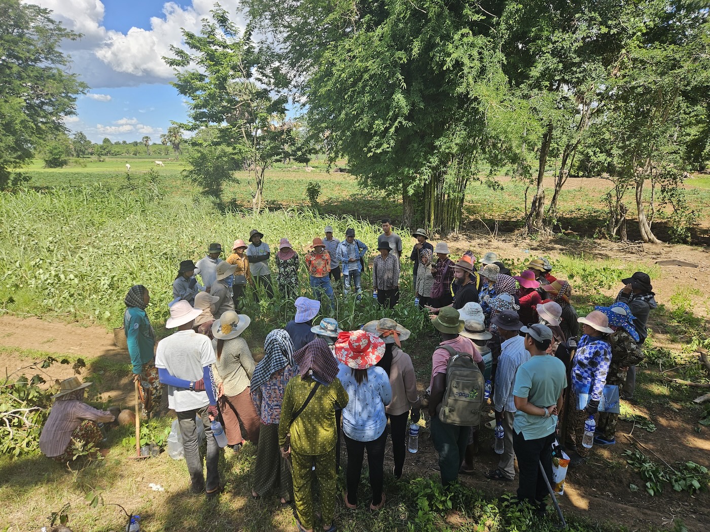 HeroTREEs Syntropic Agroforestry Training in Cambodia