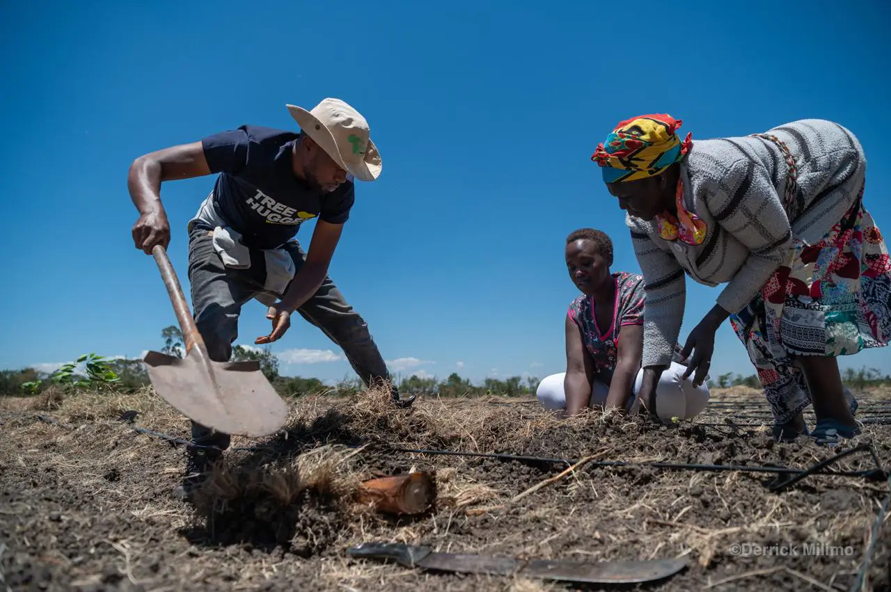 Syntropic agroforestry training to be held in Arusha