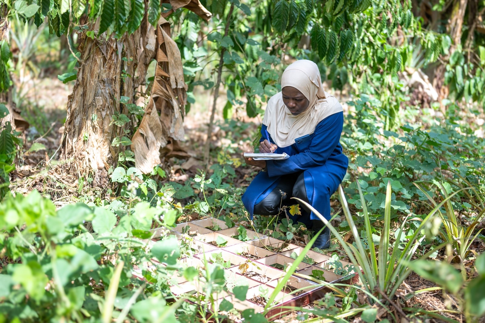 APOPO HeroTREEs intern Maliha carrying out reserach