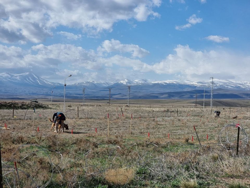 APOPO MA Turkije TSD border