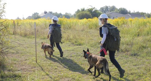 APOPO Ukraine 2 female handlers and and their dogs go to demo