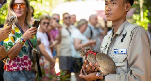 APOPO Visitor Center in Cambodia hits new milestone