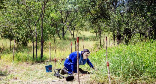 APOPO-Zimbabwe-Deminer-preparing-for-excavation@2x