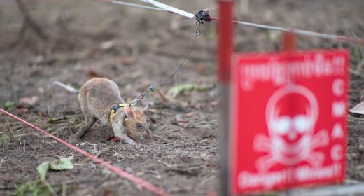 Rat and landmine sign