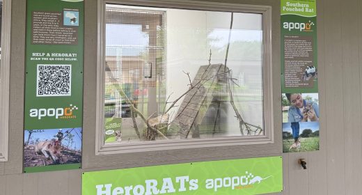 HeroRAT Exhibit - Header