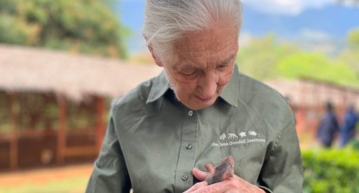 Dr Jane Goodall visits APOPO's Training Center